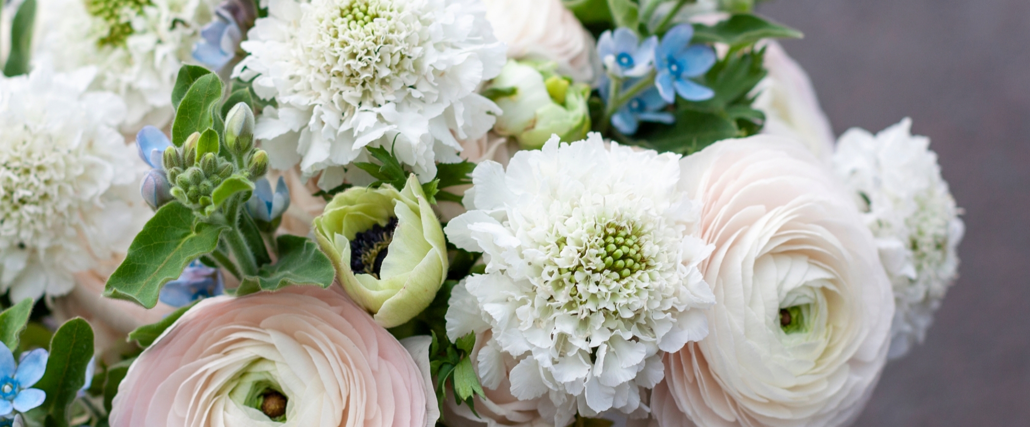 shutterstock_1646598031