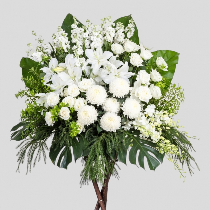 Photoroom_20240319_155923